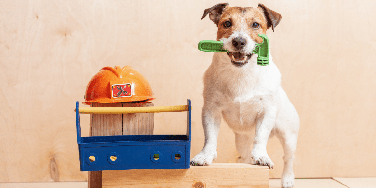 Dog with Tools