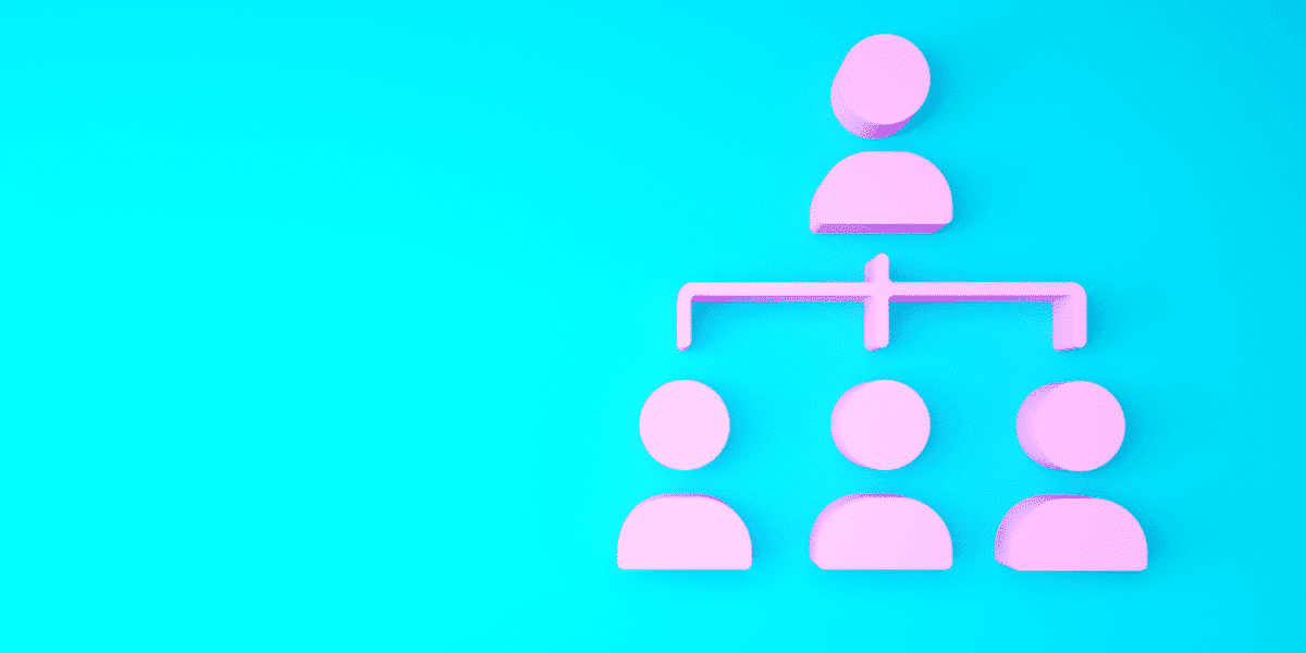 A pink organogram graphic showing team hierarchy on a bright blue background.