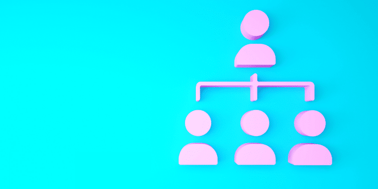 A pink organogram graphic showing team hierarchy on a bright blue background.