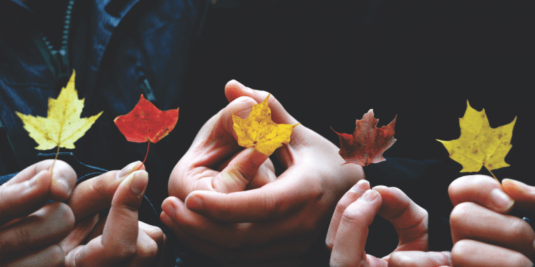 Several hands holding autumn maple leaves in yellow and red