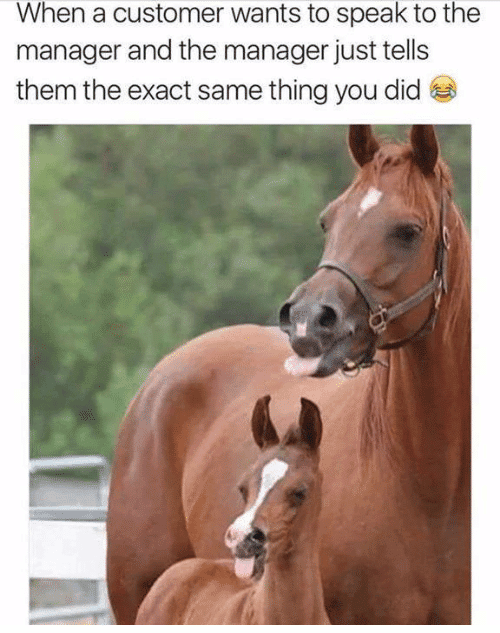 A larger horse standing behind a smaller horse. Text: "When a customer wants to speak to the manager and the manager just tells them the exact same thing you did."