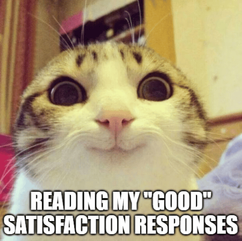 Image of a surprised cat. Caption: Reading My "Good" Satisfaction Responses.