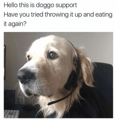 A dog wearing a headset. Text: "Hello this is doggo support. Have you tried throwing it up and eating it again?"