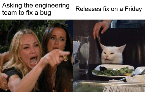 Left: Two angry women, one of whom is pointing right. Text: "Asking the engineering team to fix a bug."  Right: An angry cat sitting with a plate of vegetables. Text: "Releases fix on a Friday."