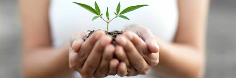 grow customer service - textexpander