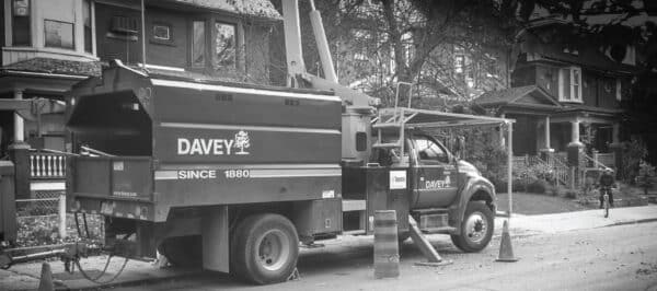 How Davey Tree crushes field calls with streamlined and consistent language to the client and the office