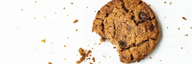 Chocolate chip cookie to illustrate developing good work habits