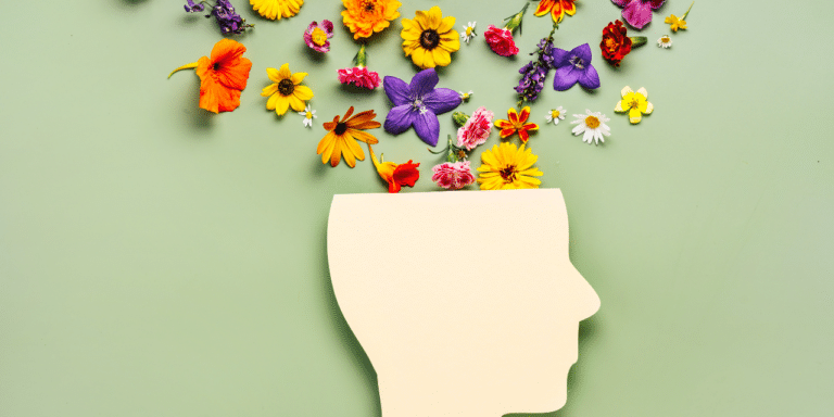 best ehr for mental health private practice