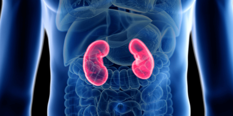 nephrology conference 2024