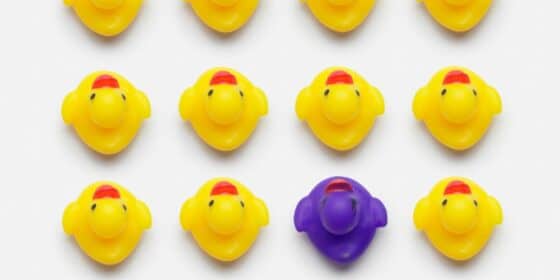 An image of 8 ducks all in a row, they're all yellow except for 1 purple one